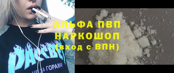 ГАЛЛЮЦИНОГЕННЫЕ ГРИБЫ Горно-Алтайск