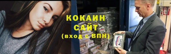 ГАЛЛЮЦИНОГЕННЫЕ ГРИБЫ Горно-Алтайск