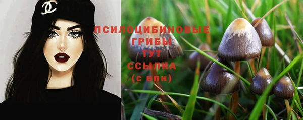 ПСИЛОЦИБИНОВЫЕ ГРИБЫ Горнозаводск