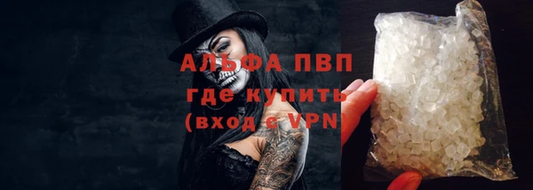 ГАЛЛЮЦИНОГЕННЫЕ ГРИБЫ Горно-Алтайск