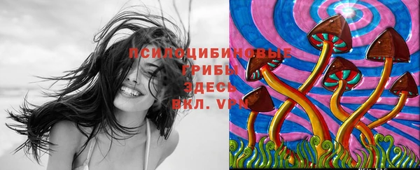 ГАЛЛЮЦИНОГЕННЫЕ ГРИБЫ Горно-Алтайск