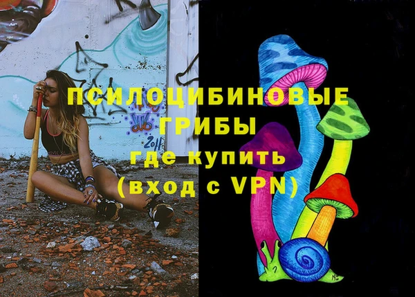 ГАЛЛЮЦИНОГЕННЫЕ ГРИБЫ Горно-Алтайск