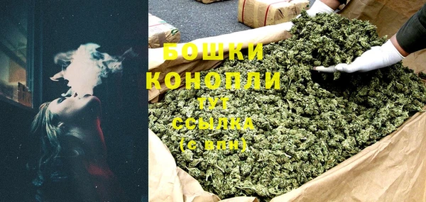 ПСИЛОЦИБИНОВЫЕ ГРИБЫ Горнозаводск