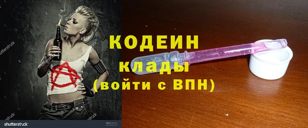гашик Гусев