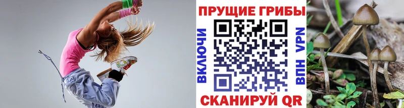 купить наркотик  Смоленск  Галлюциногенные грибы Psilocybine cubensis 
